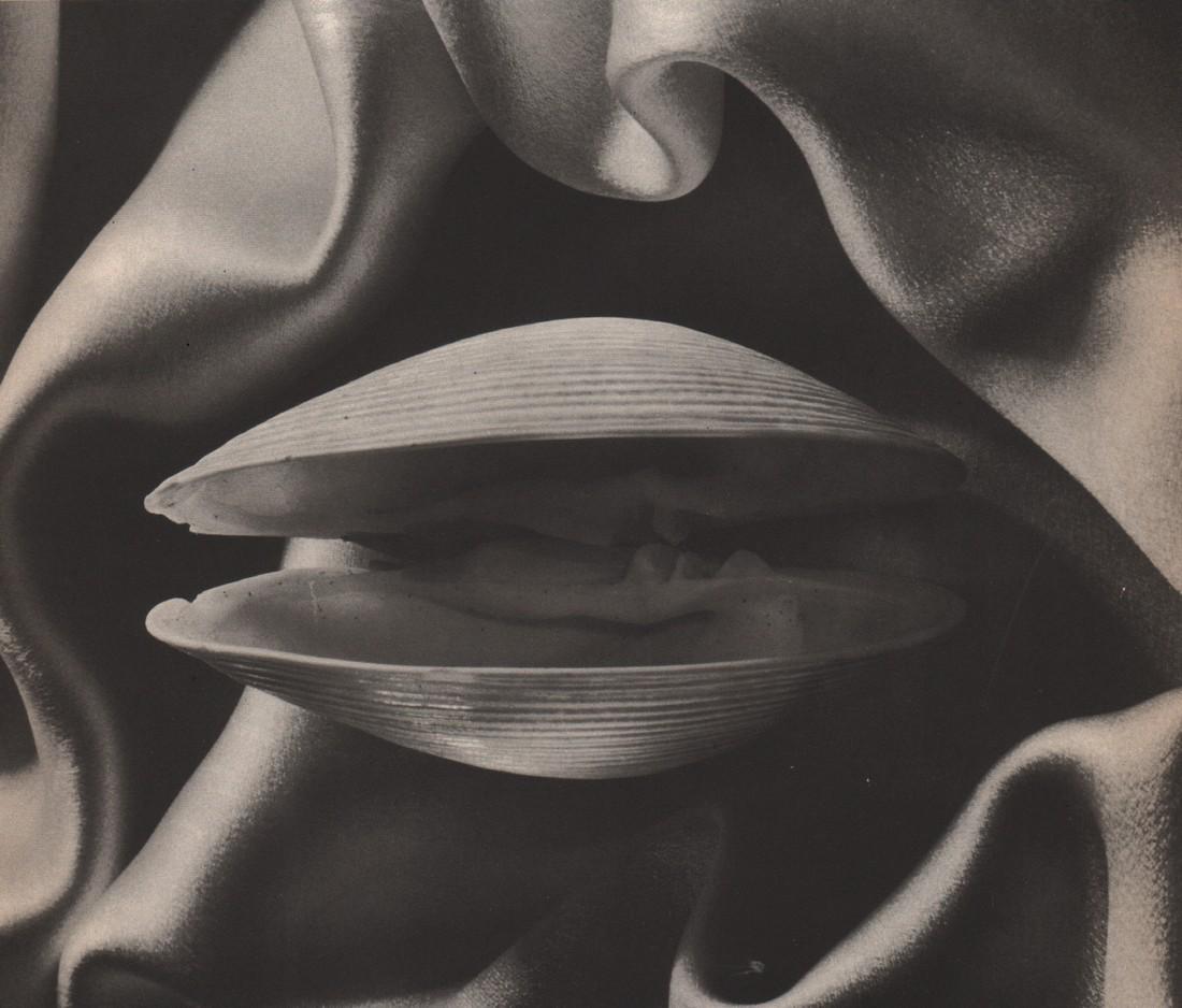 RUTH BERNHARD - Shell in Silk: Artist: RUTH BERNHARD Print Title: Shell in Silk Medium: Photoengraving Printed in USA in 1930’s Image Size approx: 7 x 8” Ruth Bernhard (1905 – 2006), was a legendary San Francisco photographer