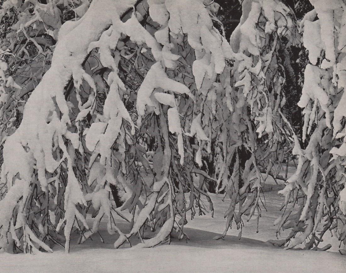 EDWARD WESTON-Yosemite: Artist: EDWARD WESTON Print Title: Yosemite Medium: Photoengraving Printed in USA in 1940’s Image Size approx: 7 x 9” Edward Weston 1886-1958) was a 20th-century American photographer, considered 