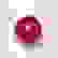 item-75516677=2