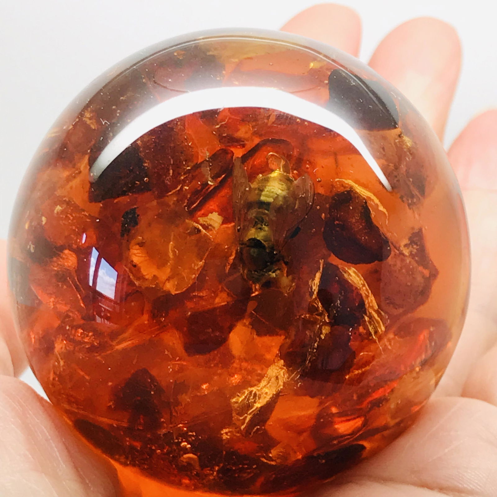 Baltic Amber ball with insect bee inclusion + stand (1 of 10)