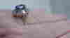 item-75722041=7