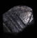 7.35 CT TWINNED SAPPHIRE - UNTREATED GEMSTONE - 6