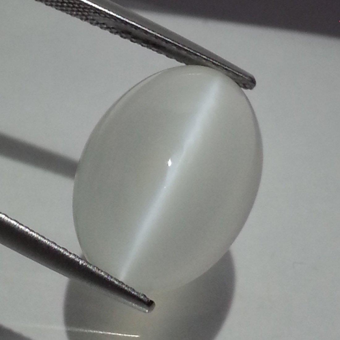 Natural Moonstone Cat: No Reserve! Title: Natural Moonstone Cat's Eye- 5.30 ct Color/Clarity: VVS Gemstones: Loosegemstone Carat Weights: 5.3 Size/Dimensions: 12.00 x 10.05 x 6.05 Additional Information: Oval - Srilanka Shi
