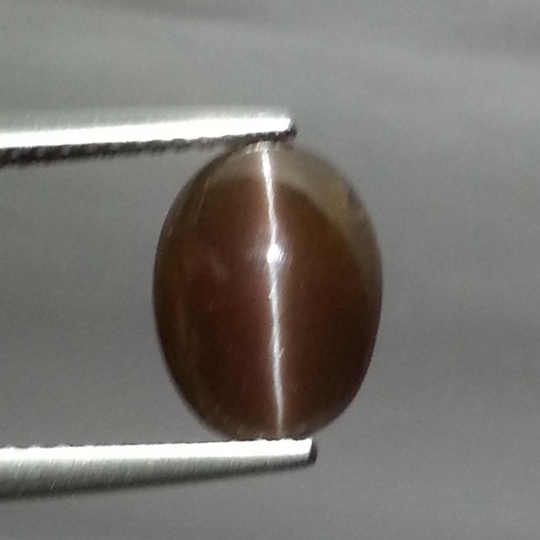 3.10 ct Natural Sillimanite Cat's Eye: No Reserve! Title: 3.10 ct Natural Sillimanite Cat's Eye Color/Clarity: Opaque Gemstones: Loosegemstone Carat Weights: 3.1 Size/Dimensions: 10.50 x 7.70 x 5.10 Additional Information: Oval - Africa Sh