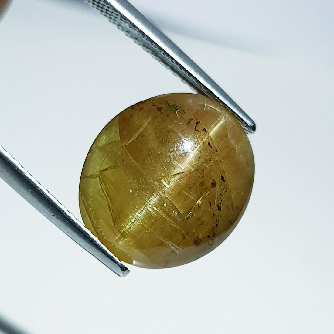 10.40 ct Natural Apatite cat's Eye: No Reserve! Title: 10.40 ct Natural Apatite cat's Eye Color/Clarity: Semi Transparent Gemstones: Loosegemstone Carat Weights: 10.4 Size/Dimensions: 14.20 x 12.60 x 6.50 Additional Information: Oval - 
