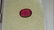 0.97 certified tourmaline rubellite - 2