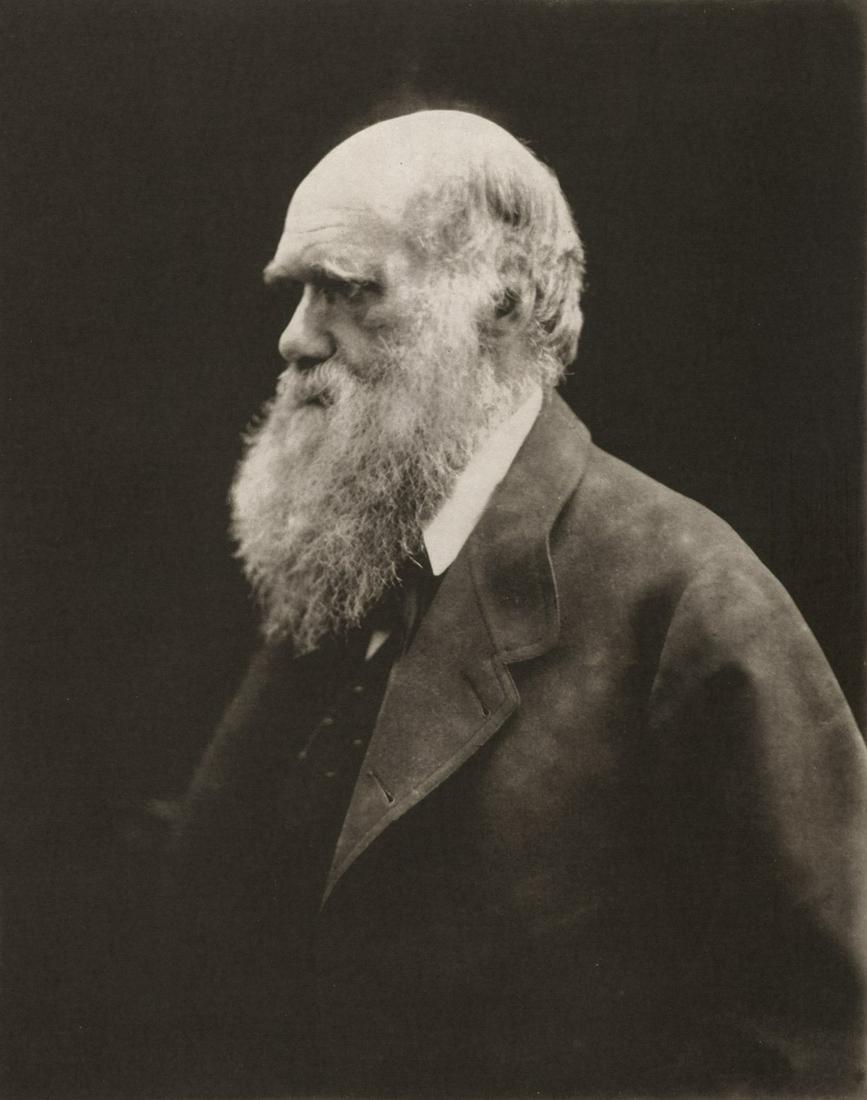 JULIA MARGARET CAMERON - Charles Darwin (1 of 1)