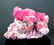 52 Gram Terminated Rubelite Pink Tourmaline with