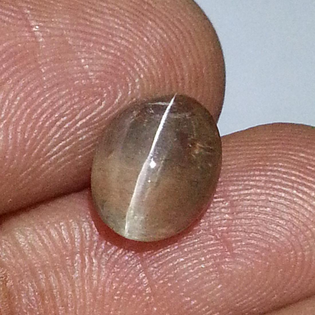 3.15 ct Natural Sillimanite Cat's Eye: No Reserve! Title: 3.15 ct Natural Sillimanite Cat's Eye Color/Clarity: Semi Transparent Loosegemstone Carat Weights: 3.15 Size: 9.70 x 7.60 x 5.00 Oval - Africa Shipping: Worldwide: Flat-rate of $10.