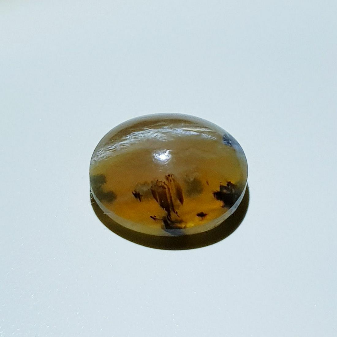 4.32 ct Natural Opal Cat's Eye: No Reserve! Title: 4.32 ct Natural Opal Cat's Eye Color/Clarity: Semi Transparent Loosegemstone Carat Weights: 4.32 Size: 11.90 x 10.20 x 6.20 Oval - Africa Shipping: Worldwide: Flat-rate of $10.00 to