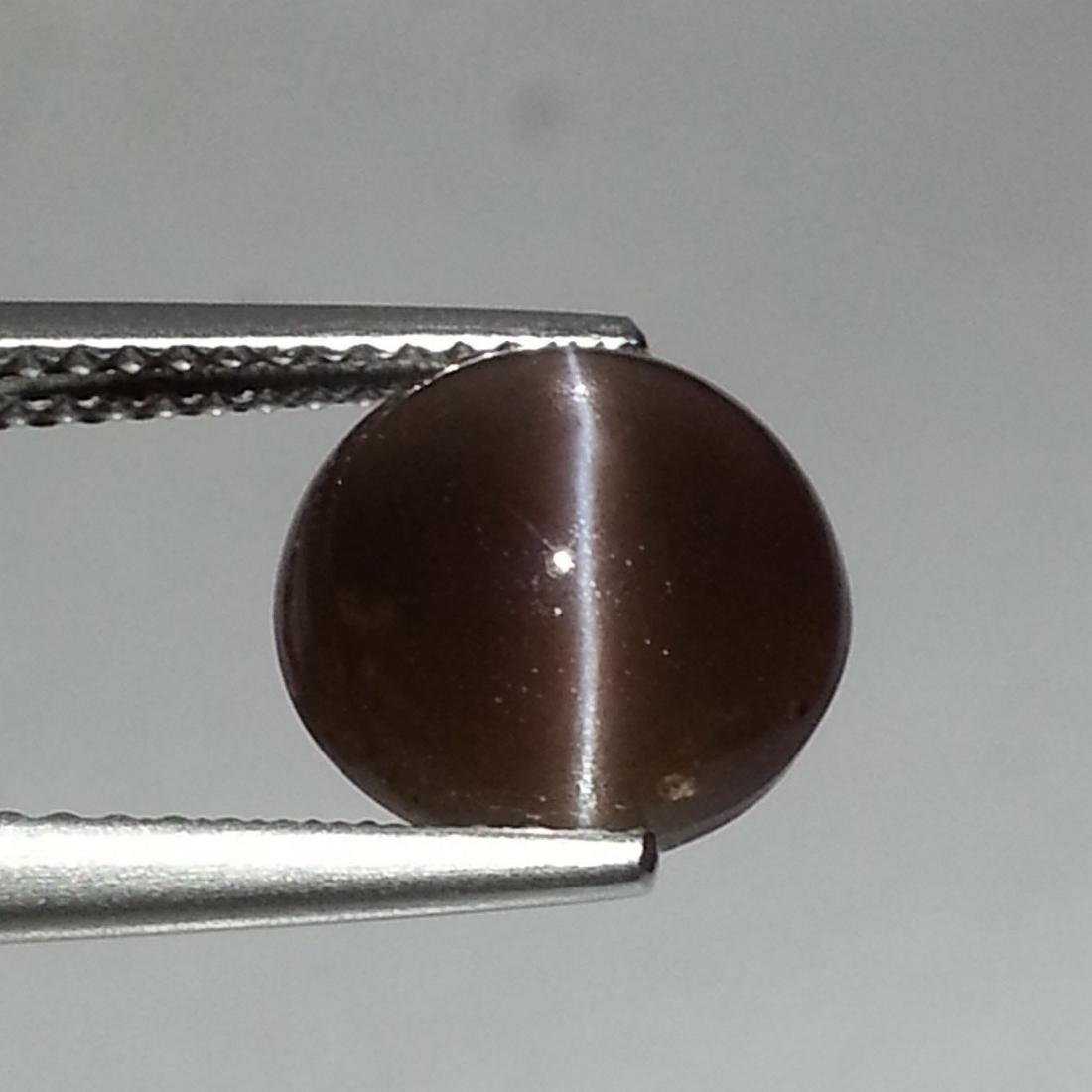 3.63 ct Natural Sillimanite Cat's Eye: No Reserve! Title: 3.63 ct Natural Sillimanite Cat's Eye Color/Clarity: Opaque Loosegemstone Carat Weights: 3.63 Size: 9.50 x 9.50 x 5.60 Round - Africa Shipping: Worldwide: Flat-rate of $10.00 to any