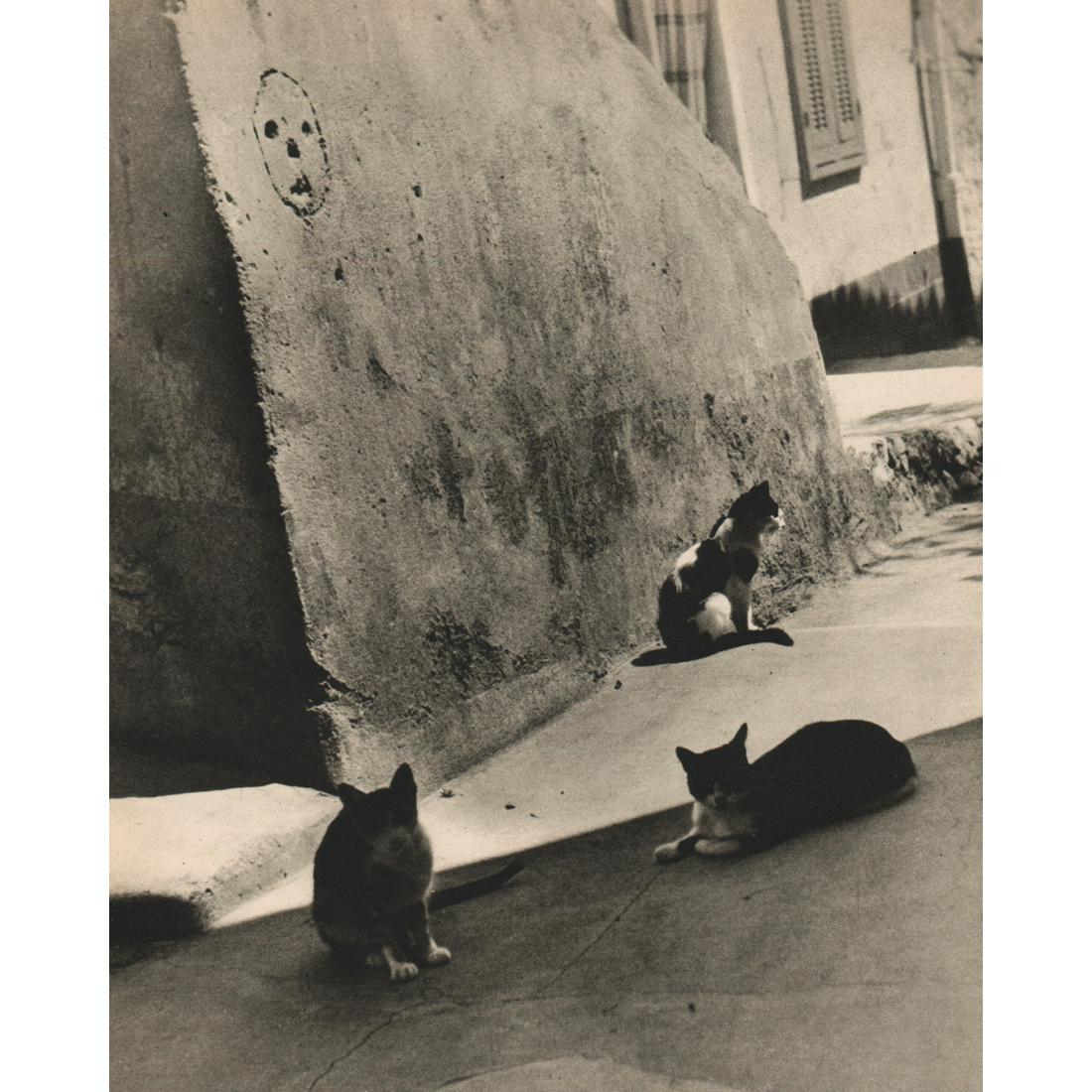 YATES MASON - One Cat in the Sun: Artist: YATES MASON Print Title: One Cat in the Sun Medium: Sheet-fed Gravure Printing Date: 1940's Printed in Great Britain Image Size approx: 8 X 6.5 inches Reserve: $30.00 Shipping: Domestic: Flat