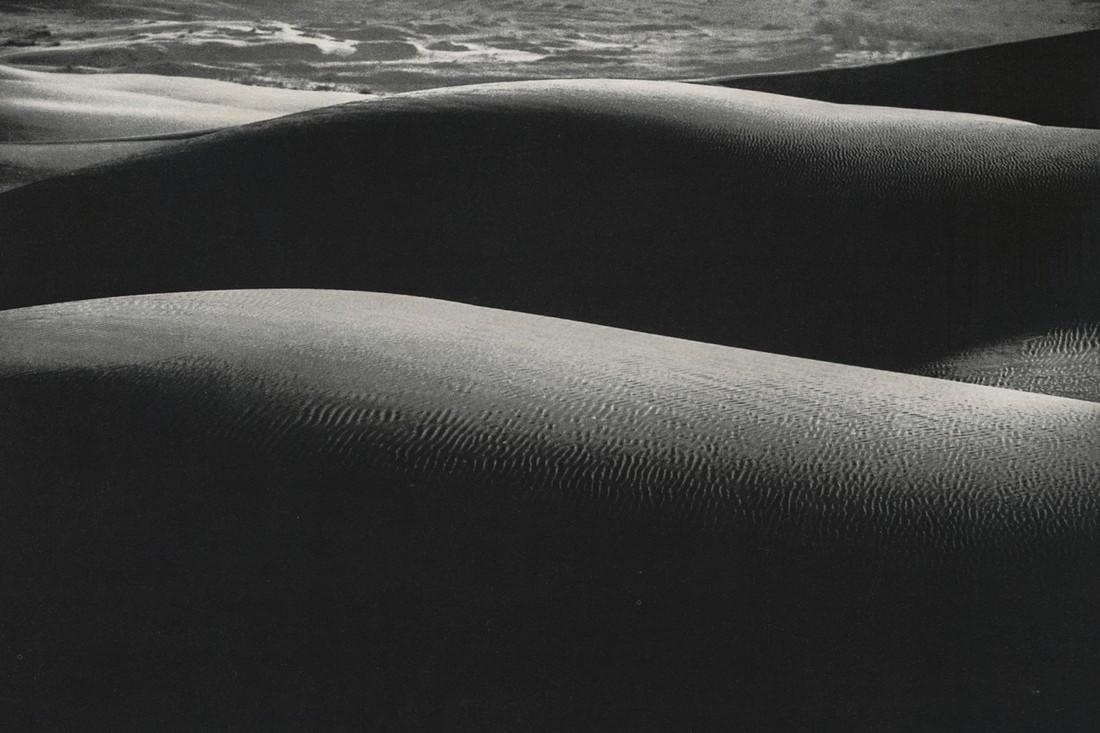 DAVID BAILEY - Human Forms in Landscapes 2 (1 of 1)