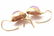 Authentic! Pasquale Bruni Avant Garde 18k Yellow Gold - 7