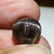 6.43 ct Natural Rare Golden Eye (scapolite) - 2