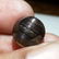 6.43 ct Natural Rare Golden Eye (scapolite) - 6