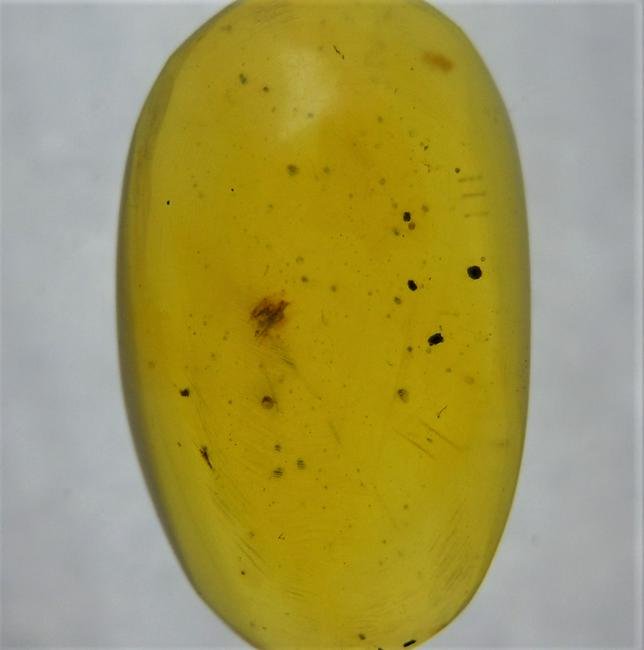 100 MILL. YEAR OLD BURMITE AMBER WITH INSECT INCLUSION: Title: 100 MILL. YEAR OLD BURMITE AMBER WITH INSECT INCLUSION Origin: Hukawang Valley, Kachin State, Myanmar Size: 1.2x1x0.5 cm / 0.59 gram Description: honey yellow burmite amber with insect inclusio