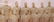 LARGE WWII ERA PANORAMIC MILITARY GROUP PHOTO BLACK - 4