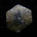 3.4 CT GOLDEN SAPPHIRE CRYSTAL - UNTREATED GEMSTONE - 4