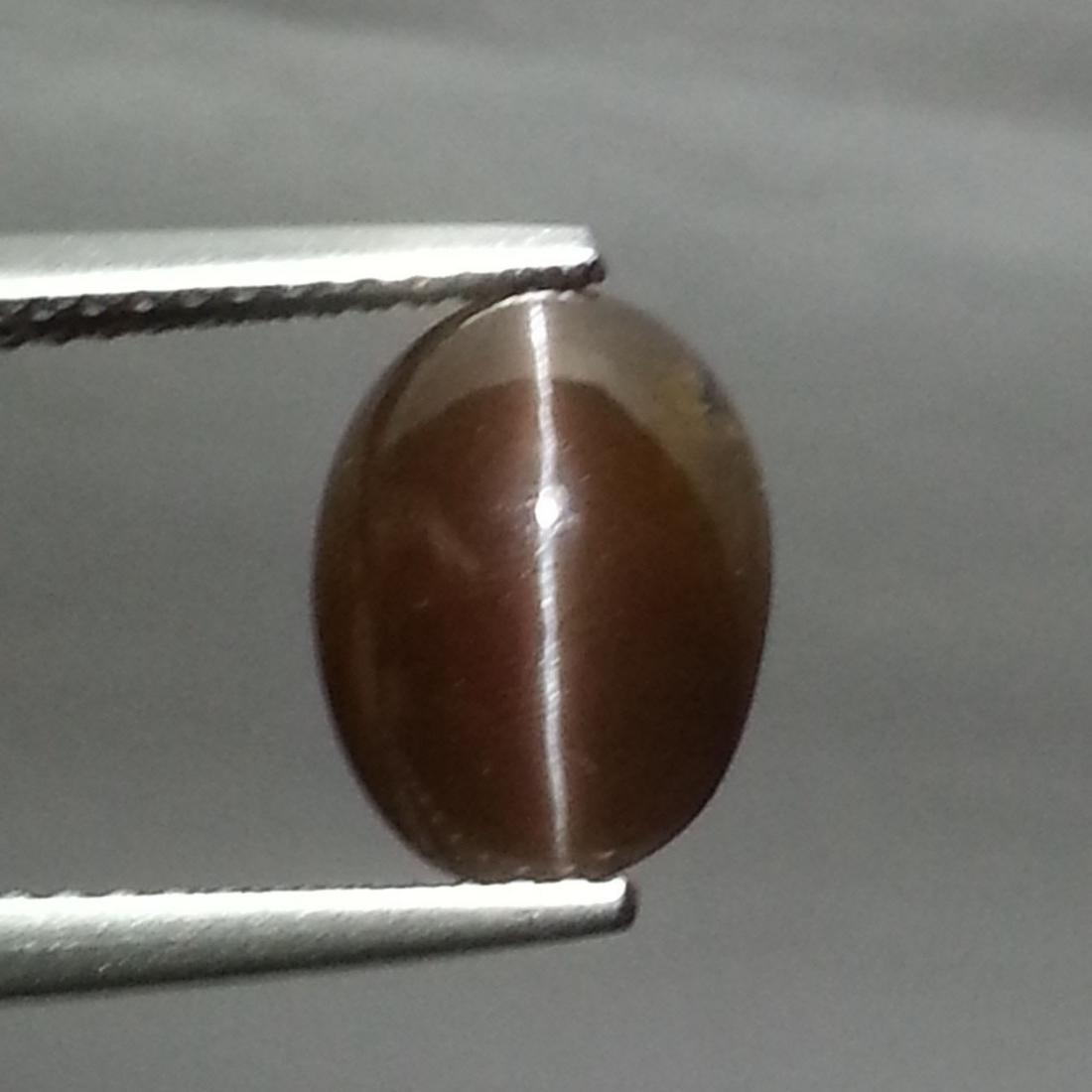 3.10 ct Natural Sillimanite Cat's Eye: No Reserve! Title: 3.10 ct Natural Sillimanite Cat's Eye Color/Clarity: Opaque Loosegemstone Carat Weights: 3.1 Size/Dimensions: 10.50 x 7.70 x 5.10 Oval - Africa Shipping: Worldwide: Flat-rate of $10