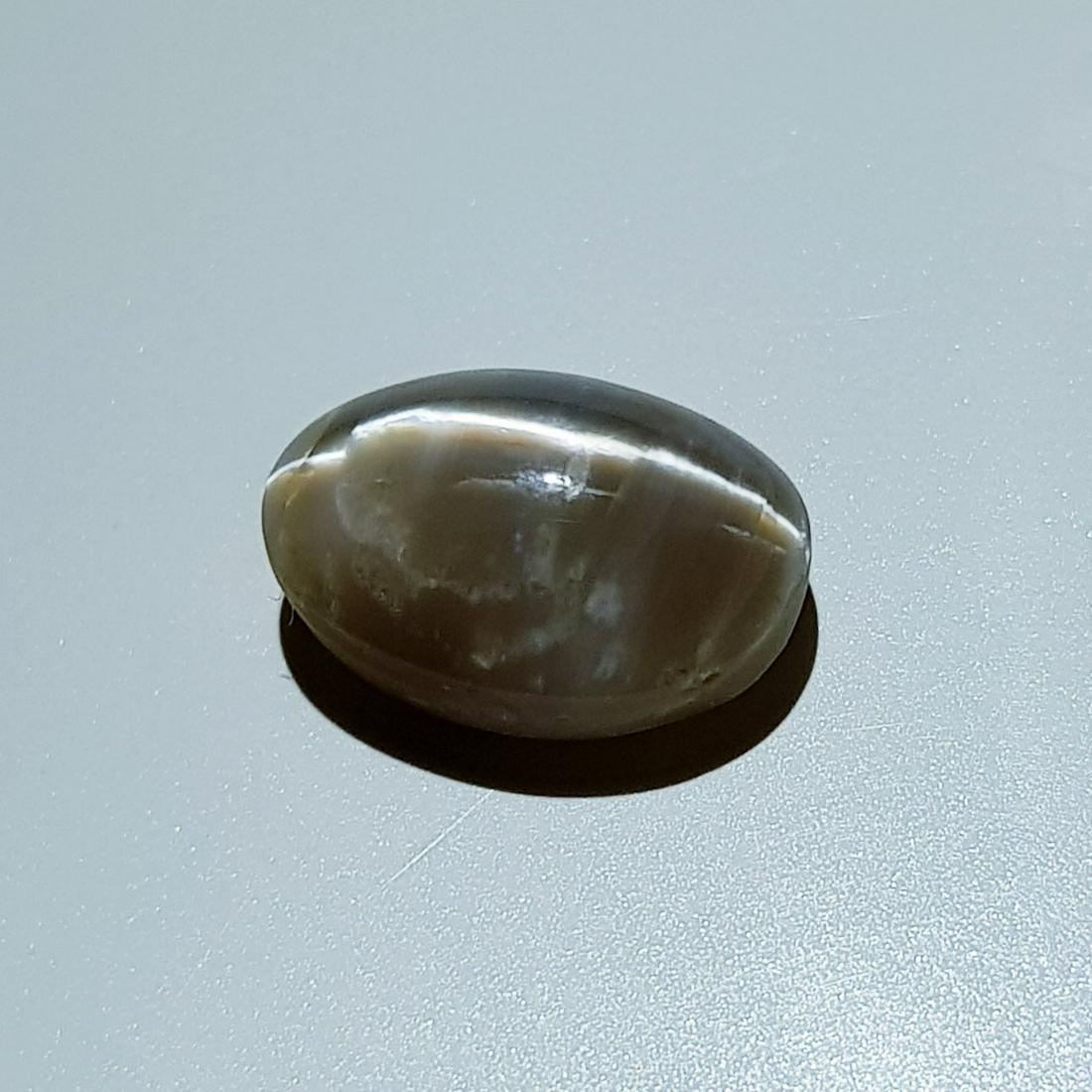 3.50 ct Natural Opal Cat's Eye: No Reserve! Title: 3.50 ct Natural Opal Cat's Eye Color/Clarity: Semi Transparent Loosegemstone Carat Weights: 3.5 Size/Dimensions: 11.80 x 8.10 x 6.20 Oval - Africa Shipping: Worldwide: Flat-rate of 