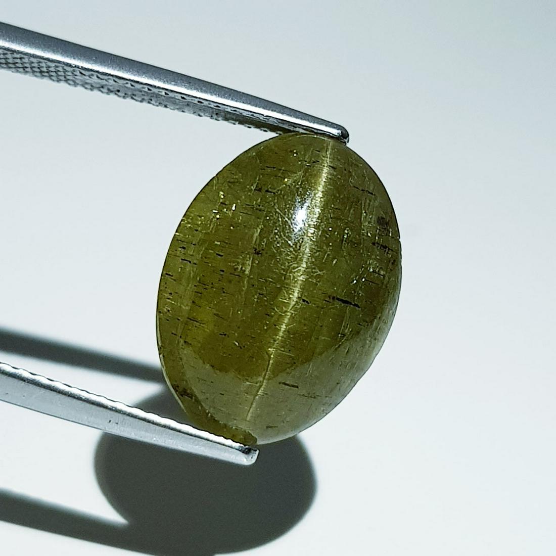 13.60 ct Natural Apatite cat's Eye: No Reserve! Title: 13.60 ct Natural Apatite cat's Eye Color/Clarity: Semi Transparent Loosegemstone Carat Weights: 13.6 Size/Dimensions: 15.50 x 11.50 x 8.80 Oval - Africa Shipping: Worldwide: Flat-ra