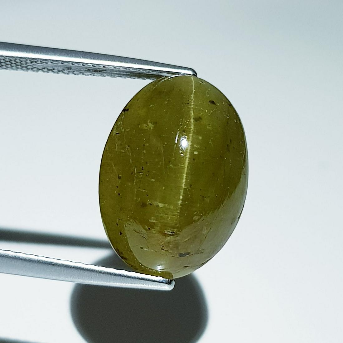 17.30 ct Natural Apatite cat's Eye: No Reserve! Title: 17.30 ct Natural Apatite cat's Eye Color/Clarity: Semi Transparent Loosegemstone Carat Weights: 17.3 Size/Dimensions: 16.80 x 12.10 x 10.40 Oval - Africa Shipping: Worldwide: Flat-r