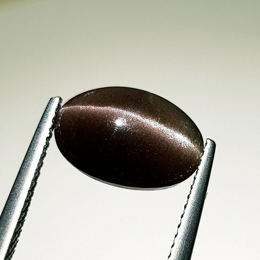 4.10 ct Natural Scapolite Cat's Eye: No Reserve! Title: 4.10 ct Natural Scapolite Cat's Eye Color/Clarity: Opaque Loosegemstone Carat Weights: 4.1 Size/Dimensions: 12.00 x 8.60 x 5.30 Oval - Africa Shipping: Worldwide: Flat-rate of $10.0