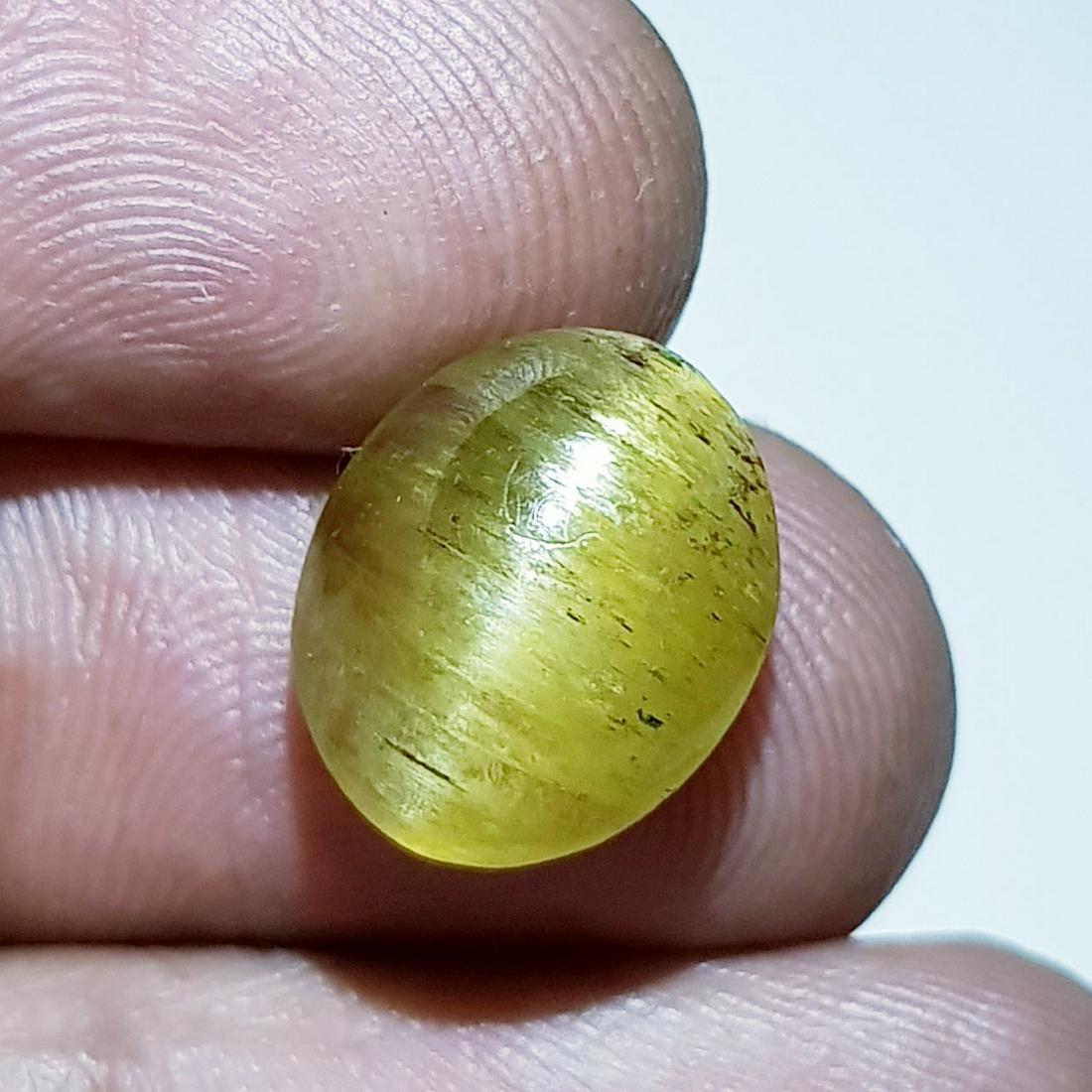 7.90 ct Natural Apatite cat's Eye: No Reserve! Title: 7.90 ct Natural Apatite cat's Eye Color/Clarity: Semi Transparent Loosegemstone Carat Weights: 7.9 Size/Dimensions: 13.00 x 10.90 x 6.70 Oval - Jharkhand Shipping: Worldwide: Flat-r