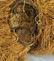 YAKA initiation Mask Congo Rdc Bayaka Provenance - 10