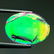 Australian Doublet Opal 5.88 ct - 5