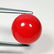 5.15 ct Natural Red Coral - Coted