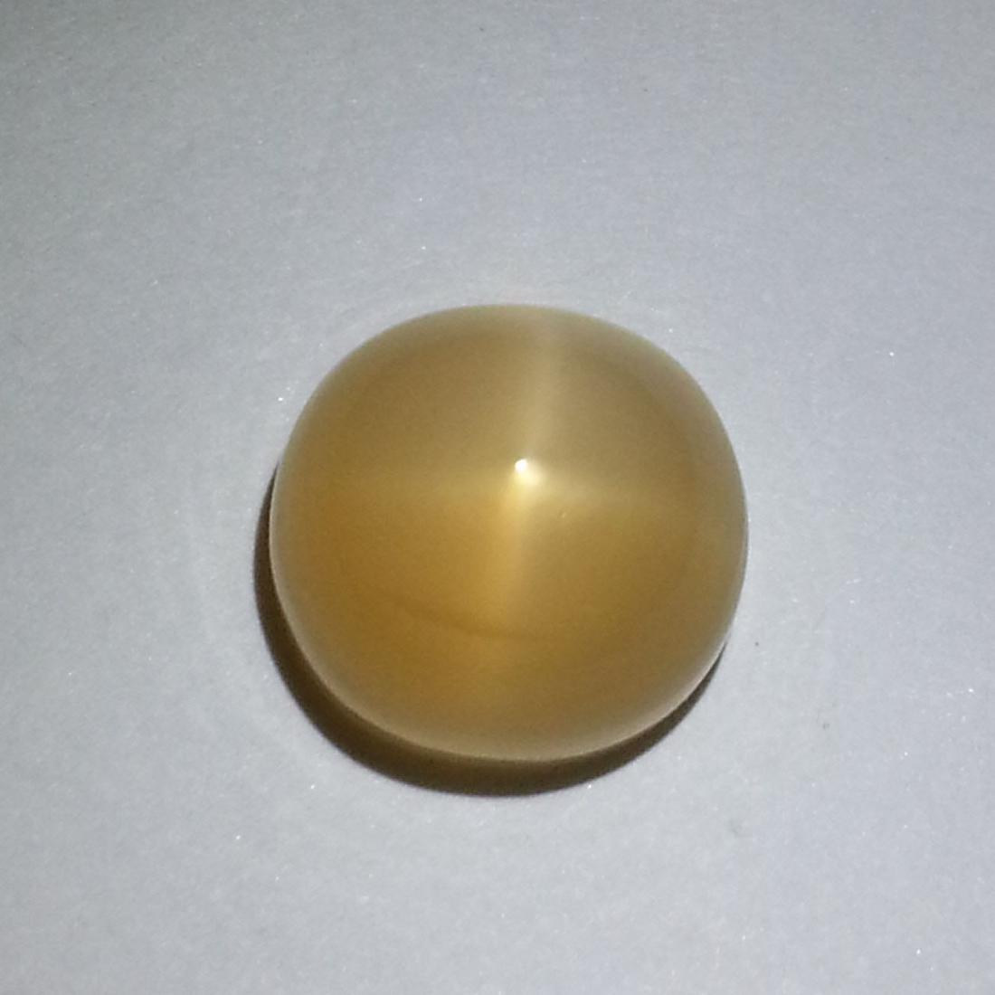 Natural Orange Star Moonstone 15.90 ct (1 of 6)