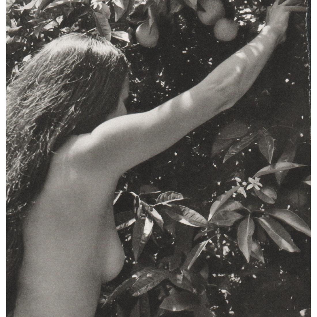 MICHAEL ARGOV - Nude: Artist: MICHAEL ARGOV Print Title: Nude Medium: Sheet-Fed Gravure Printed in 1960's Printed in France Image size approx. 5.75 X 5.5 inches Reserve: $30.00 Shipping: Domestic: Flat-rate of $15.00 to an