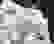 item-77075710=3