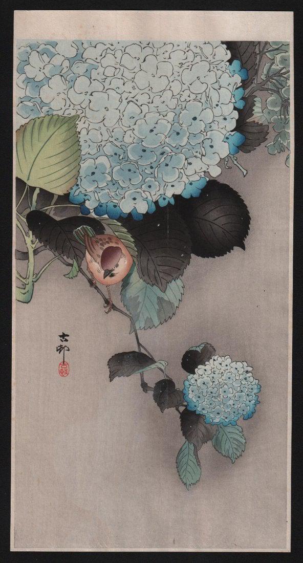 Ohara Koson: Bird & hortensia.: Title: Bird & hortensia. Artist: Ohara Koson Date: c.1910's. Size: Measures: 7.5" x 14". Reserve: $250.00 Shipping: Domestic: Flat-rate of $15.00 to anywhere within the contiguous U.S. Canada: Flat-r