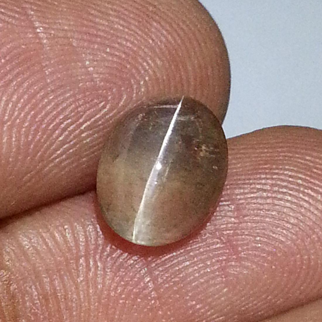 3.15 ct Natural Sillimanite Cat's Eye: No Reserve! Title: 3.15 ct Natural Sillimanite Cat's Eye Color/Clarity: Semi Transparent Gemstones: Loosegemstone Carat Weights: $3 Size/Dimensions: 9.70 x 7.60 x 5.00 Additional Information: Oval - A