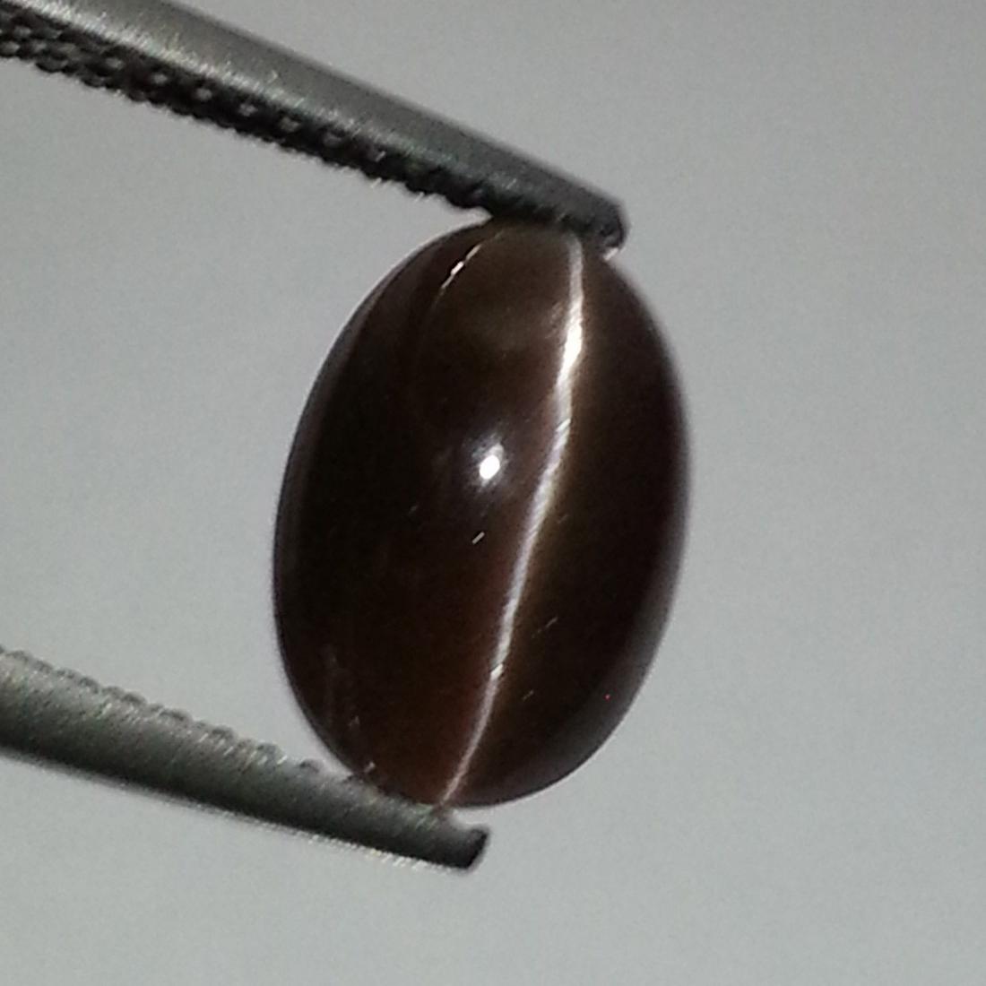 4.00 ct Natural Sillimanite Cat's Eye: No Reserve! Title: 4.00 ct Natural Sillimanite Cat's Eye Color/Clarity: Opaque Gemstones: Loosegemstone Carat Weights: $4 Size/Dimensions: 11.40 x 7.40 x 6.50 Additional Information: Oval - Africa Shi