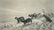 HIROSHI SUGIMOTO - Alaskan Wolves, 1994