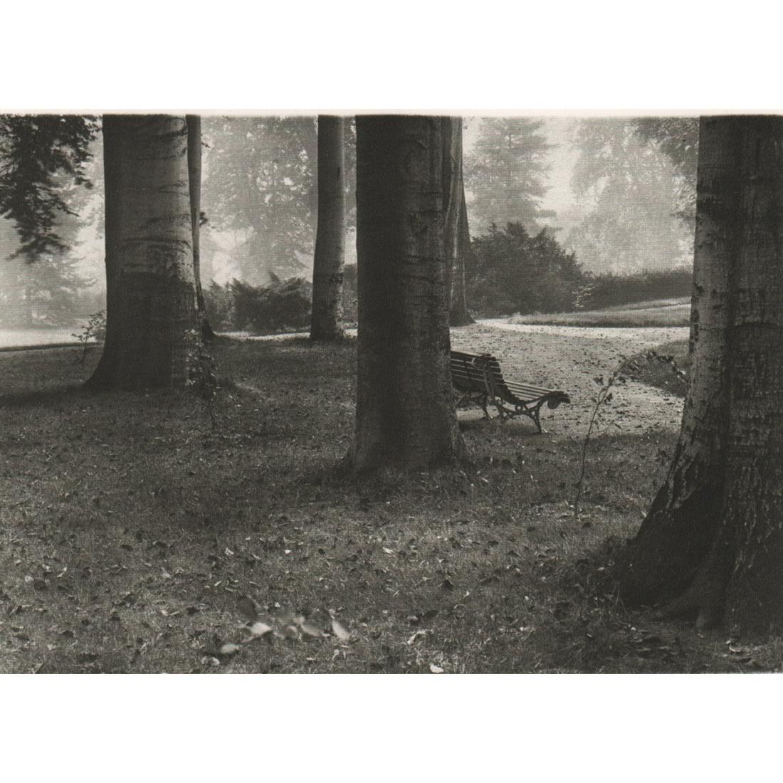 JOSEF SUDEK - A Walk in the Royal Gardens, 1946: Artist: JOSEF SUDEK Print Title: A Walk in the Royal Gardens, 1946 Medium: Sheet-fed Gravure Printing Date: 1970's Printed in Switzerland Image Size: 4.25 X 6.25 inches Josef Sudek (1896-1976) was a C