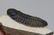 Fossil trilobite : Barrandeops