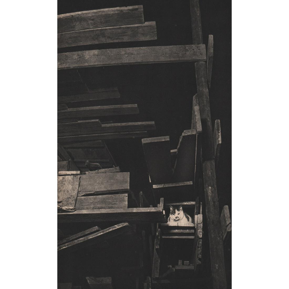 BRASSAI - Cat: Artist: BRASSAI Print Title: Cat Medium: Sheet-fed Gravure Printing Date: 1940's Printed in France Image size approx. 11.25 X 7 inches Brassai was a Hungarian–French photographer, sculptor, writer, 