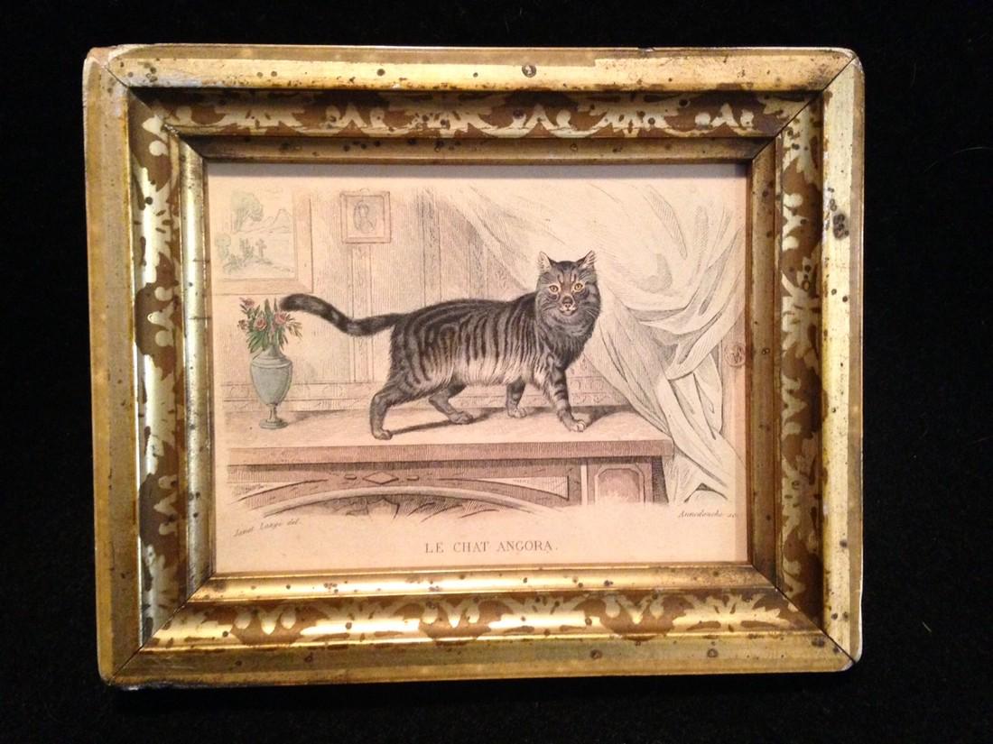 C1820 French Hand Colored Angora Cat Engraving (1 of 2)