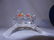 Swarovski Crystal Figurine #199123 Baby Lovebirds new