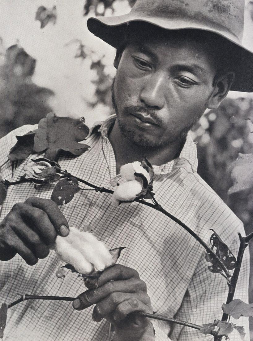 MARGARET BOURKE WHITE - Cotton Picker: Artist: MARGARET BOURKE WHITE Print Title: Cotton Picker Printing Date: 1930’s Medium: Photoengraving Printed in: the UK Image Size: 7.5 x 6” Reserve: $25.00 Shipping: Domestic: Flat-rate of $15.0