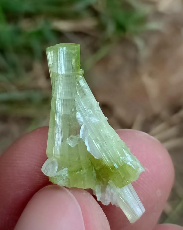 10 Carat Natural Tourmaline Specimen: No Reserve! Title: 10 Carat Natural Tourmaline Specimen Treatment: Natural Gemstone: Tourmaline Weight: 10 Carat Size/Dimensions:26x13x9 mm Origin: Pakistan Shipping: Domestic: Flat-rate of $18.00 to 