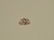 0.98 ct natural pink morganite - 2