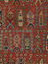 Shirvan - 4