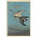 Wild Geese