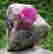 item-77960627=3